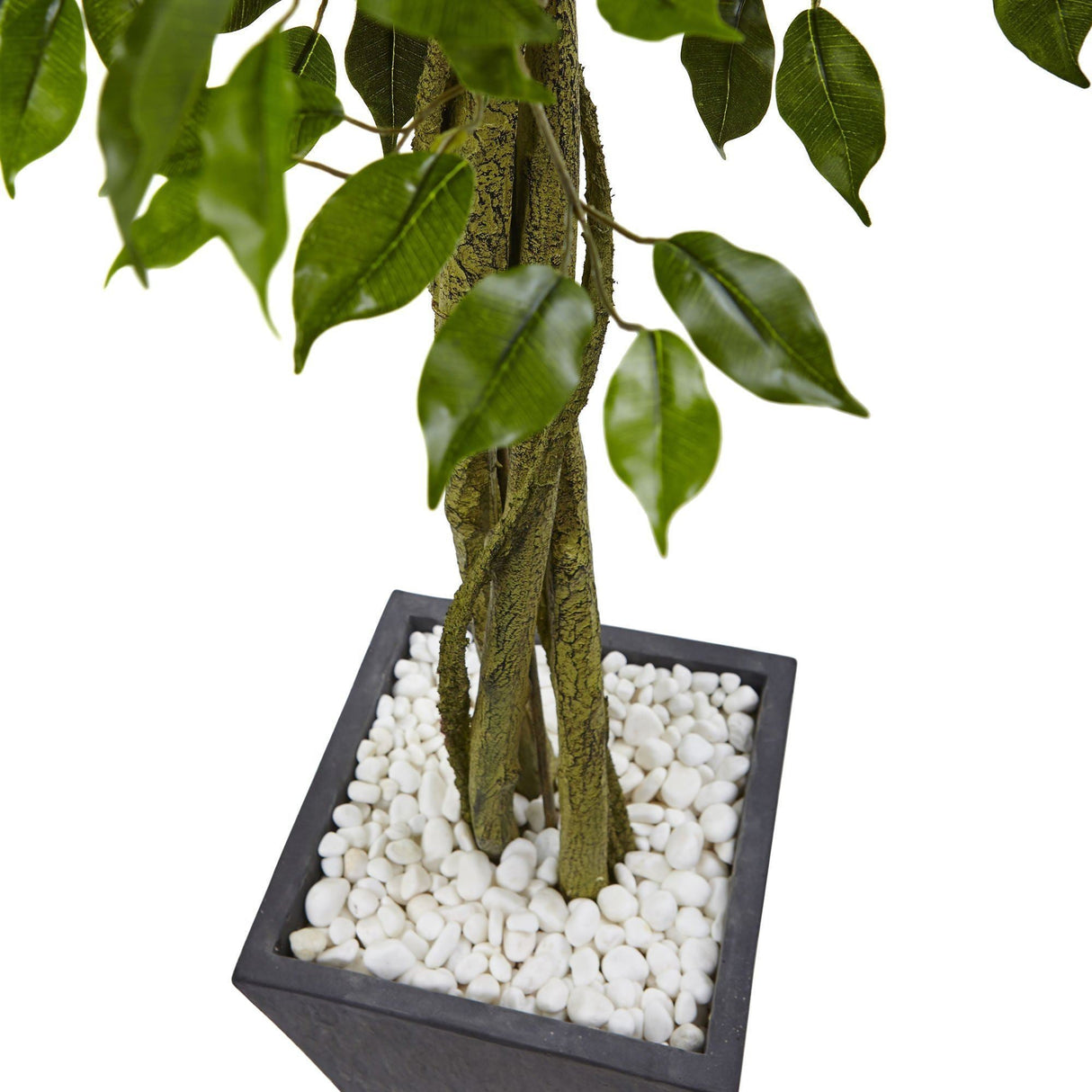 6' Ficus Tree with Slate Planter UV Resistant (Indoor Outdoor)-Parc Decor