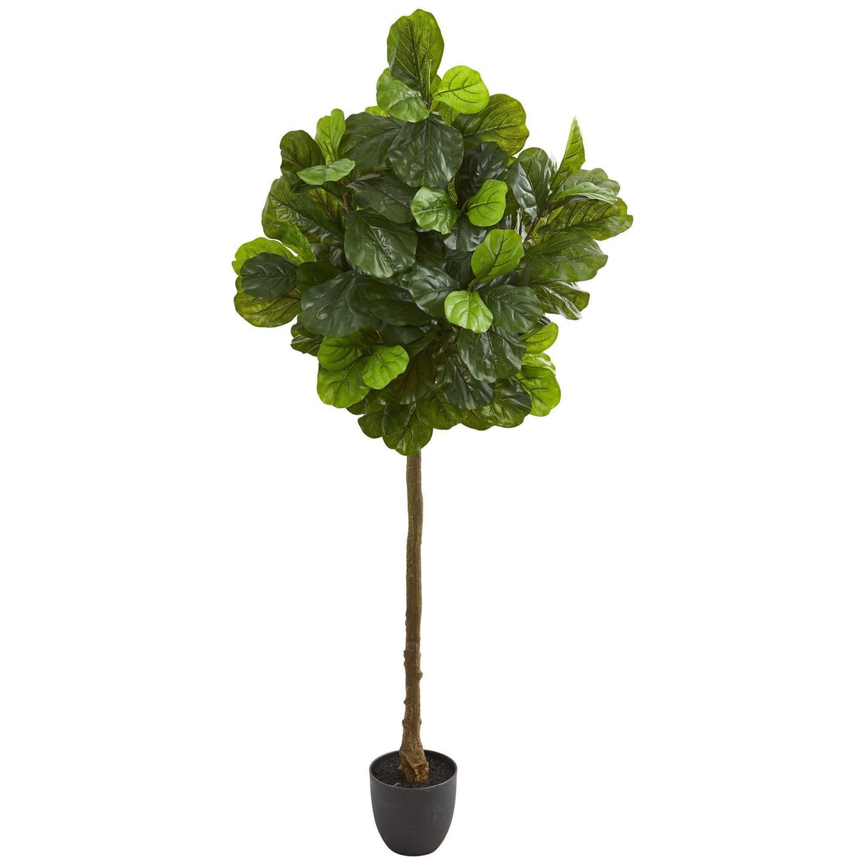 6’ Fiddle Leaf Artificial Tree (Real Touch)-Parc Decor
