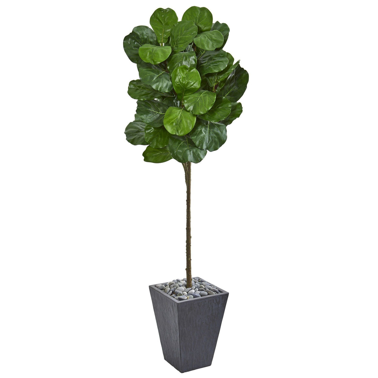 6’ Fiddle Leaf Artificial Tree in Slate Finished Planter-Parc Decor