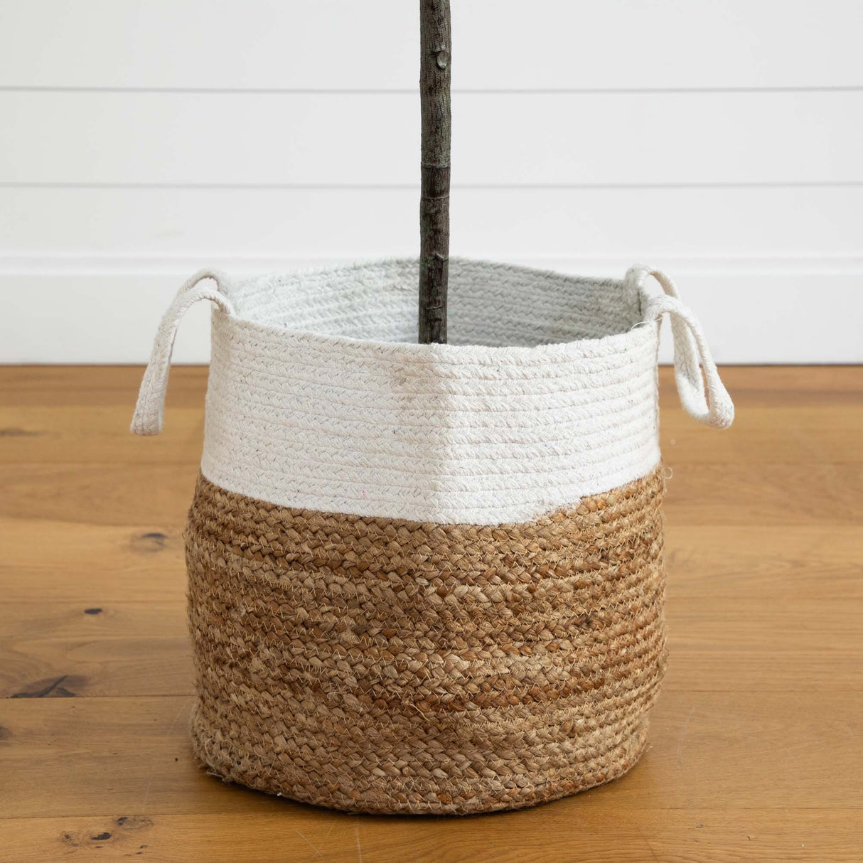 6’ Fiddle Leaf Fig Artificial Tree in Handmade Natural Jute and Cotton Planter-Parc Decor