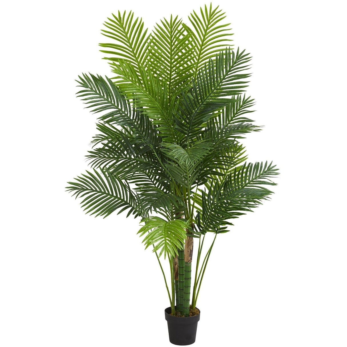 6’ Hawaii Palm Artificial Tree-Parc Decor