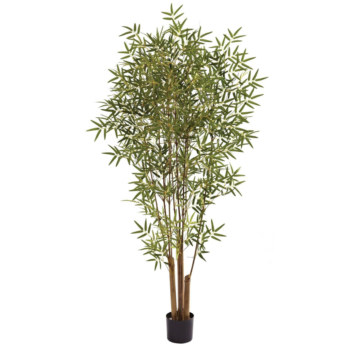 6' Japanese Bamboo Tree-Parc Decor