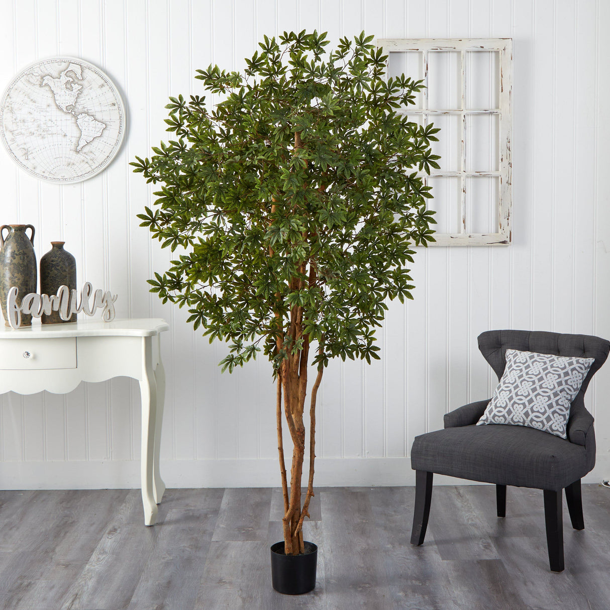 6' Japanese Maple Silk Tree-Parc Decor