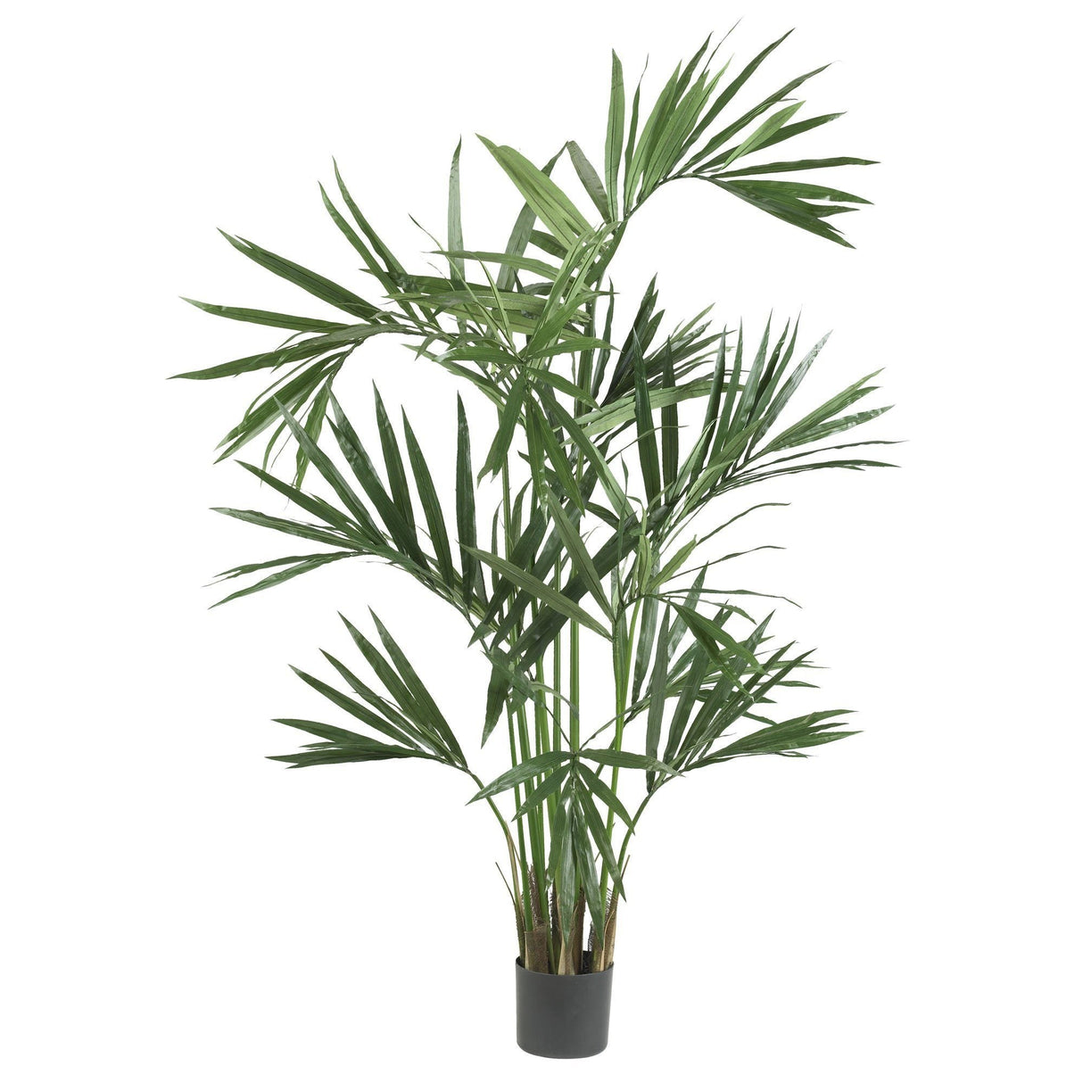 6' Kentia Palm Silk Tree-Parc Decor