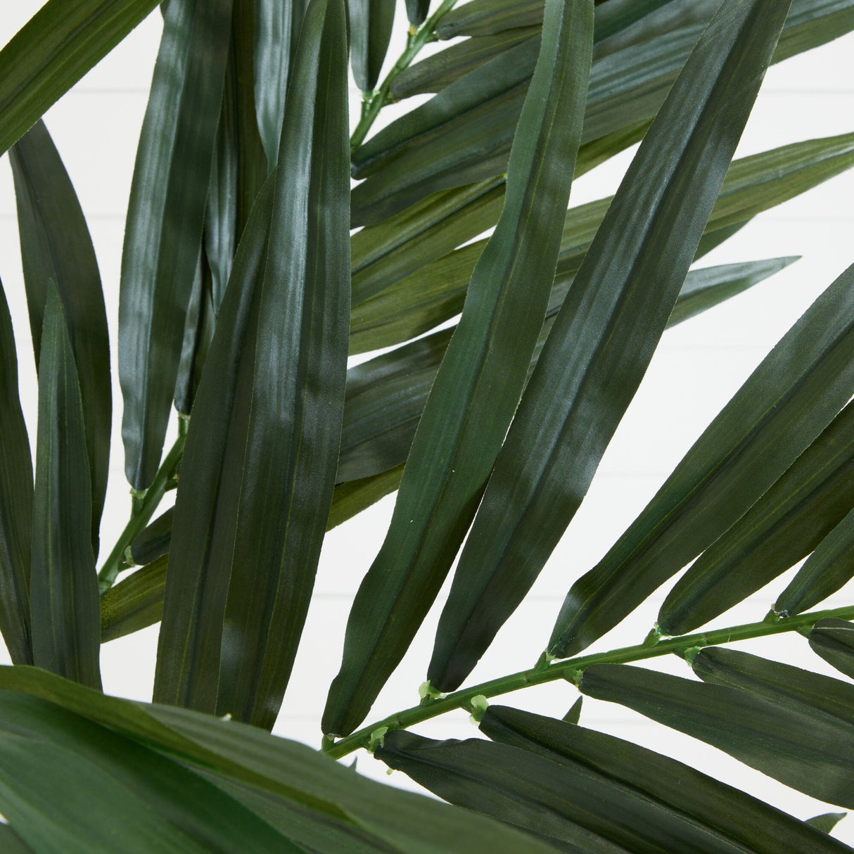 6' Kentia Silk Tree-Parc Decor