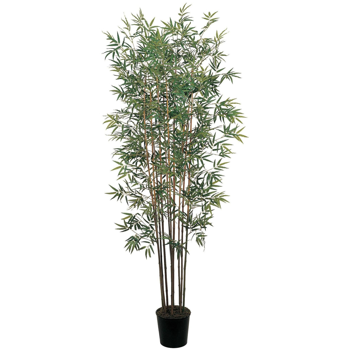 6' Mini Bamboo Silk Tree-Parc Decor