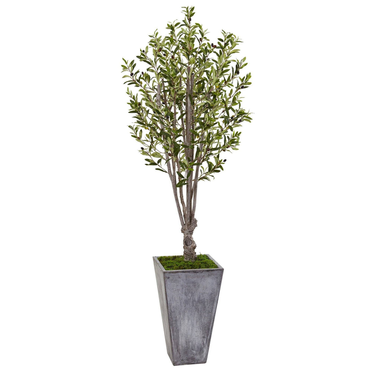 6’ Olive Tree in Stone Planter-Parc Decor