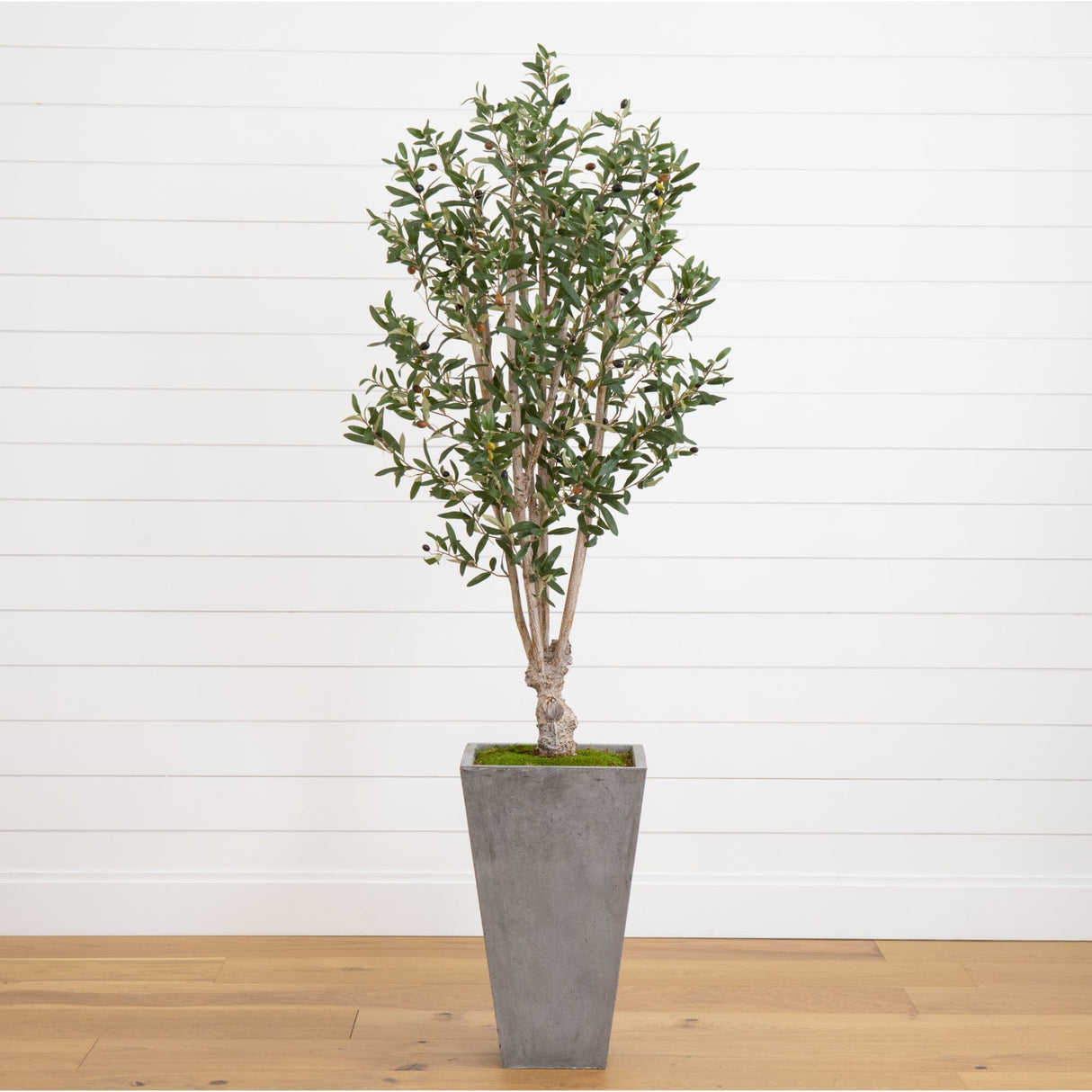6’ Olive Tree in Stone Planter-Parc Decor