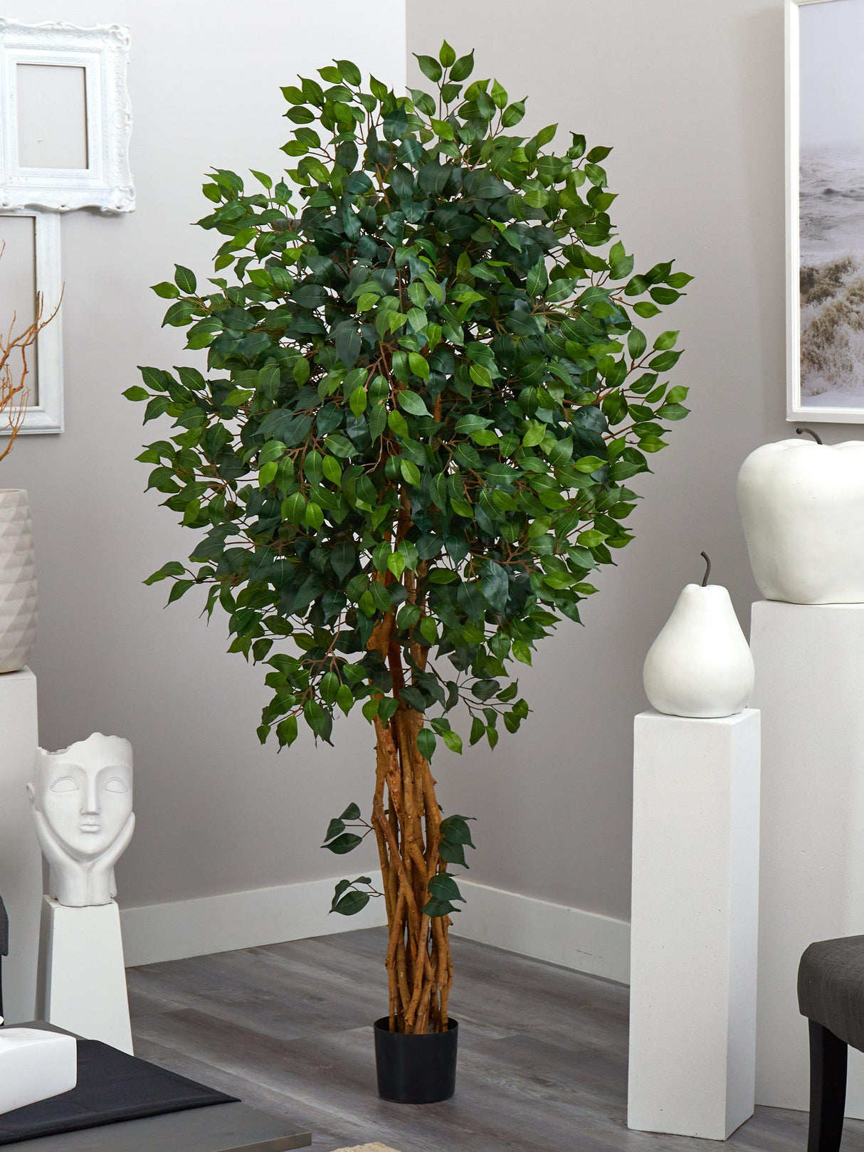 6' Palace Style Ficus Silk Tree-Parc Decor