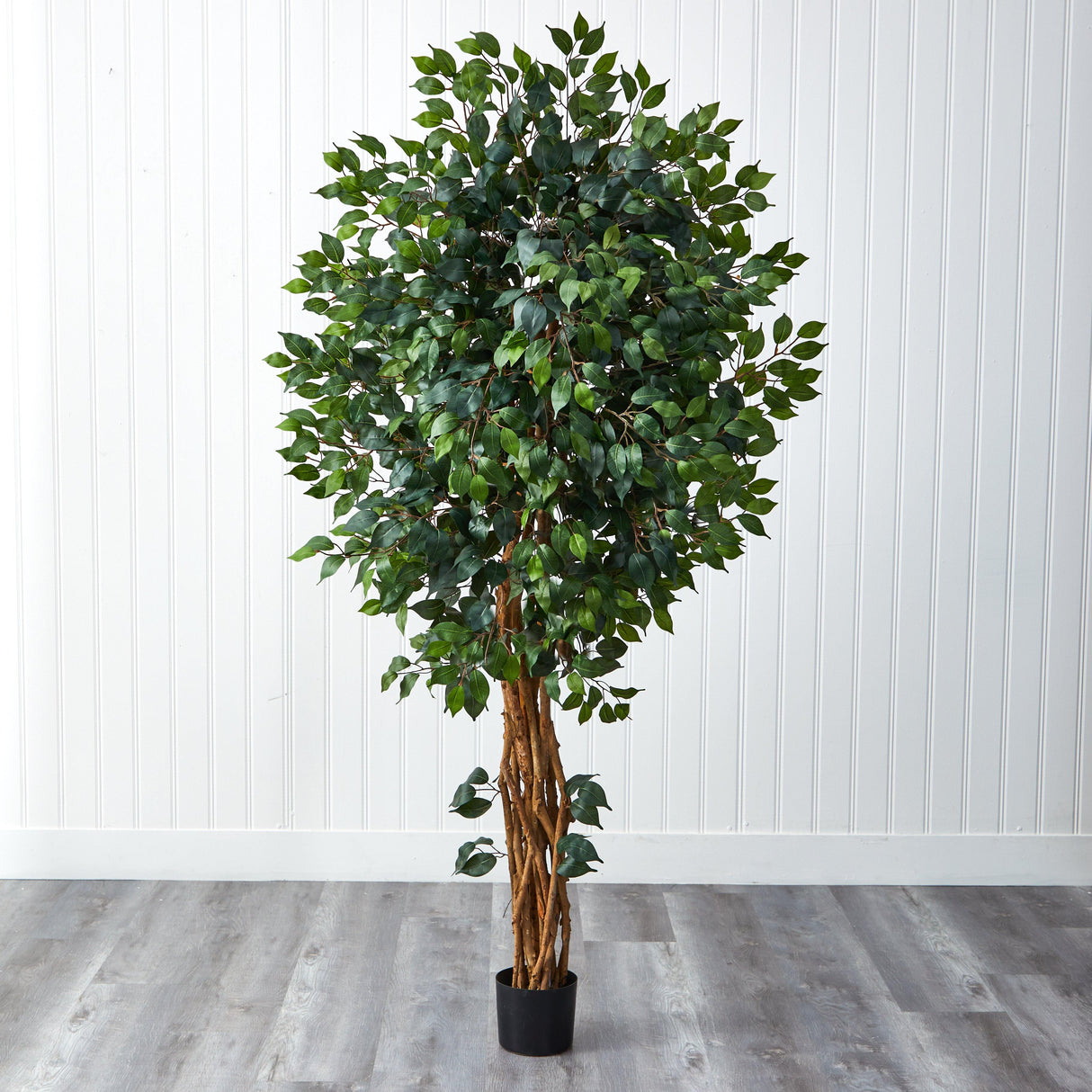 6' Palace Style Ficus Silk Tree-Parc Decor
