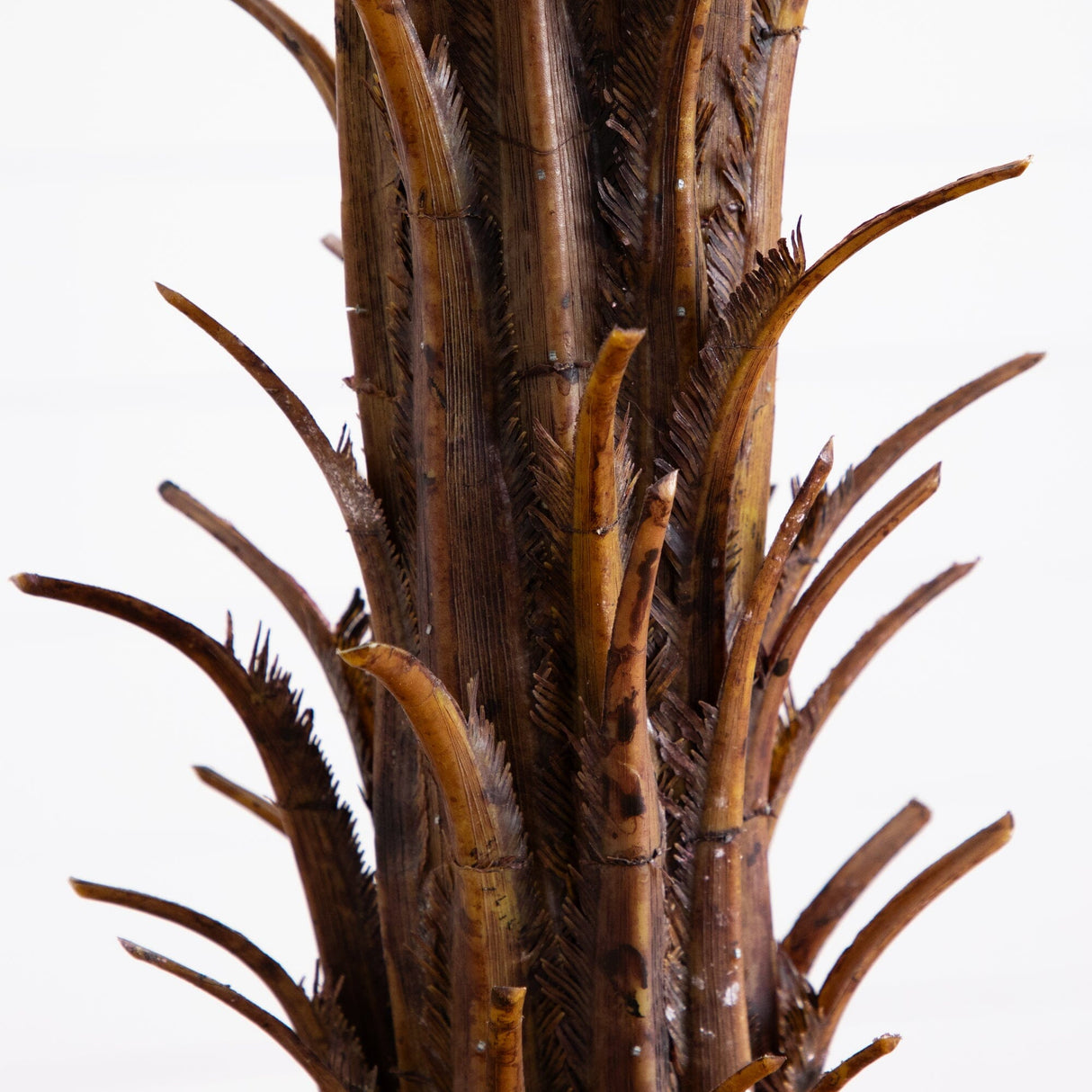 6’ Robellini Palm Tree-Parc Decor