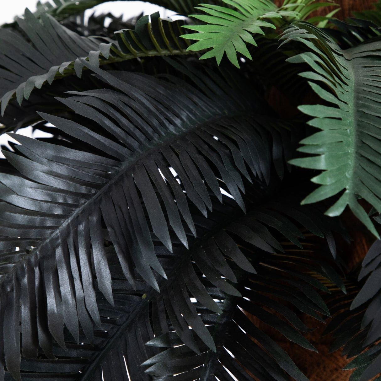 6' Sago Palm Silk Tree-Parc Decor