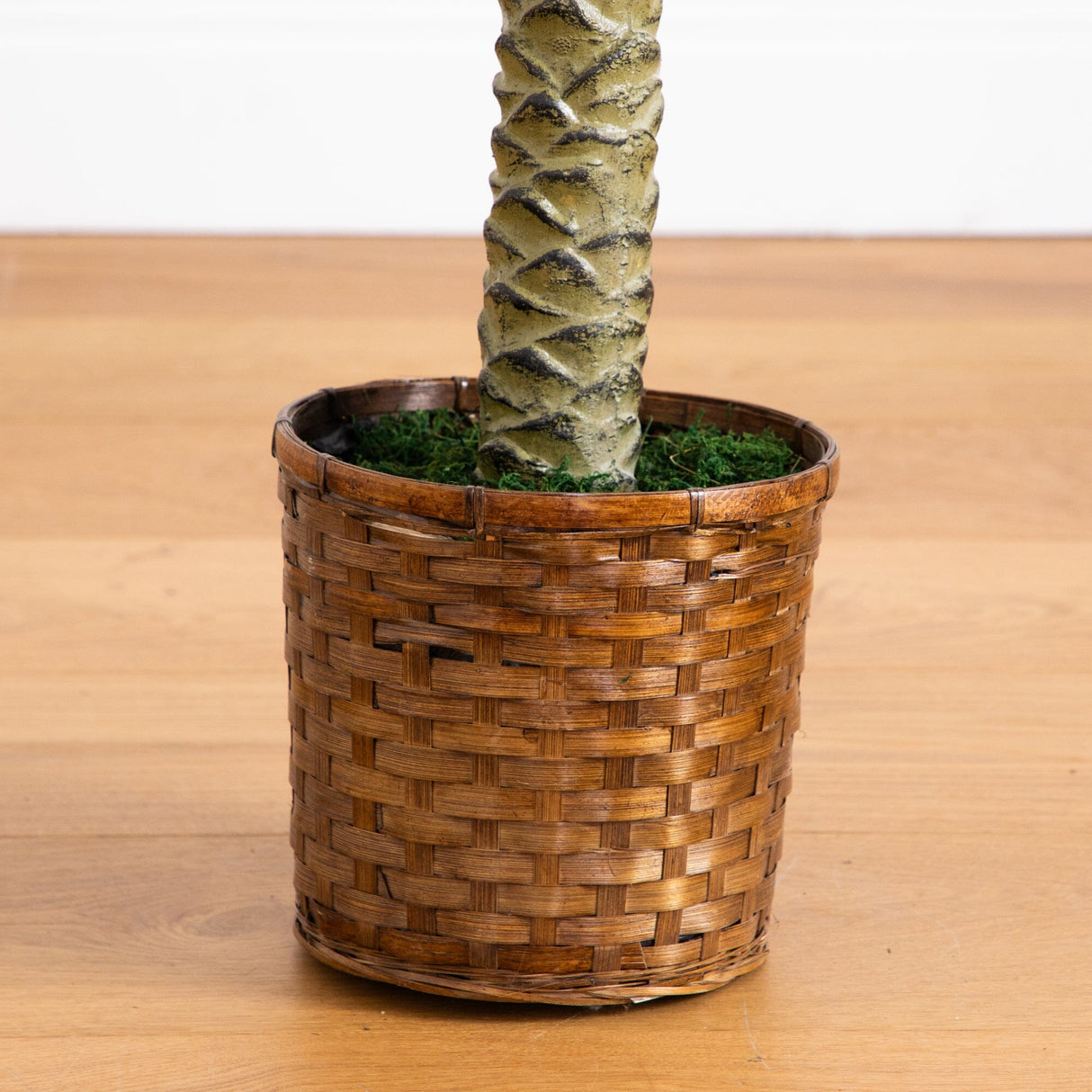 6' Sago Palm Silk Tree-Parc Decor