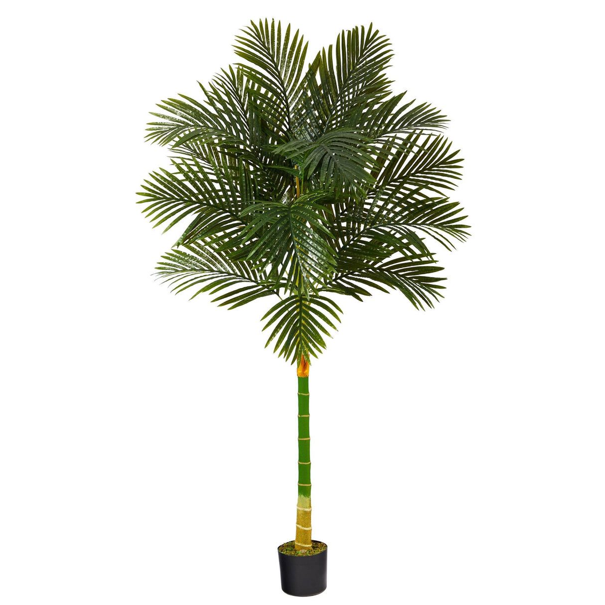 6’ Single Stalk Golden Cane Artificial Palm Tree-Parc Decor