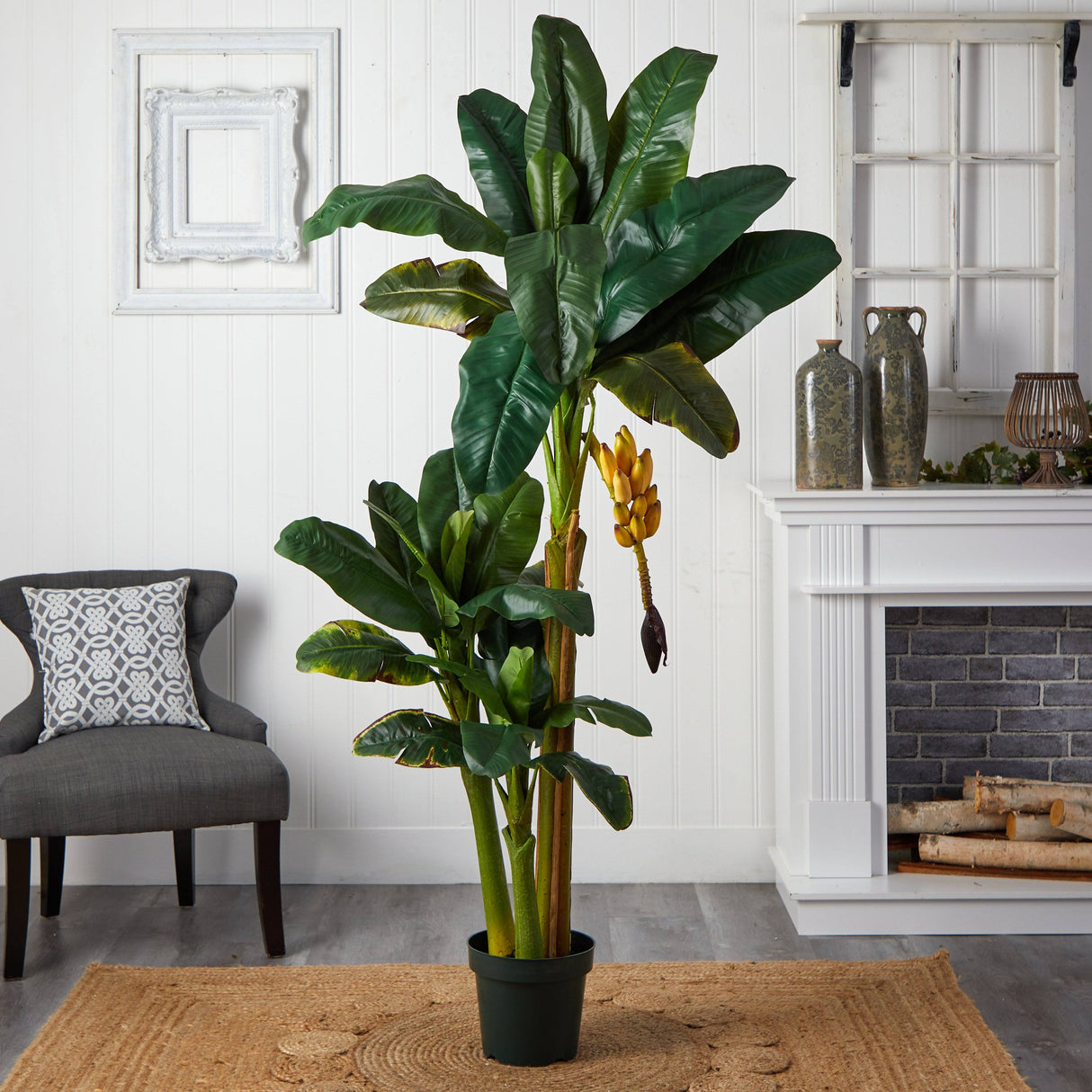 6' Triple Stalk Banana Silk Tree-Parc Decor