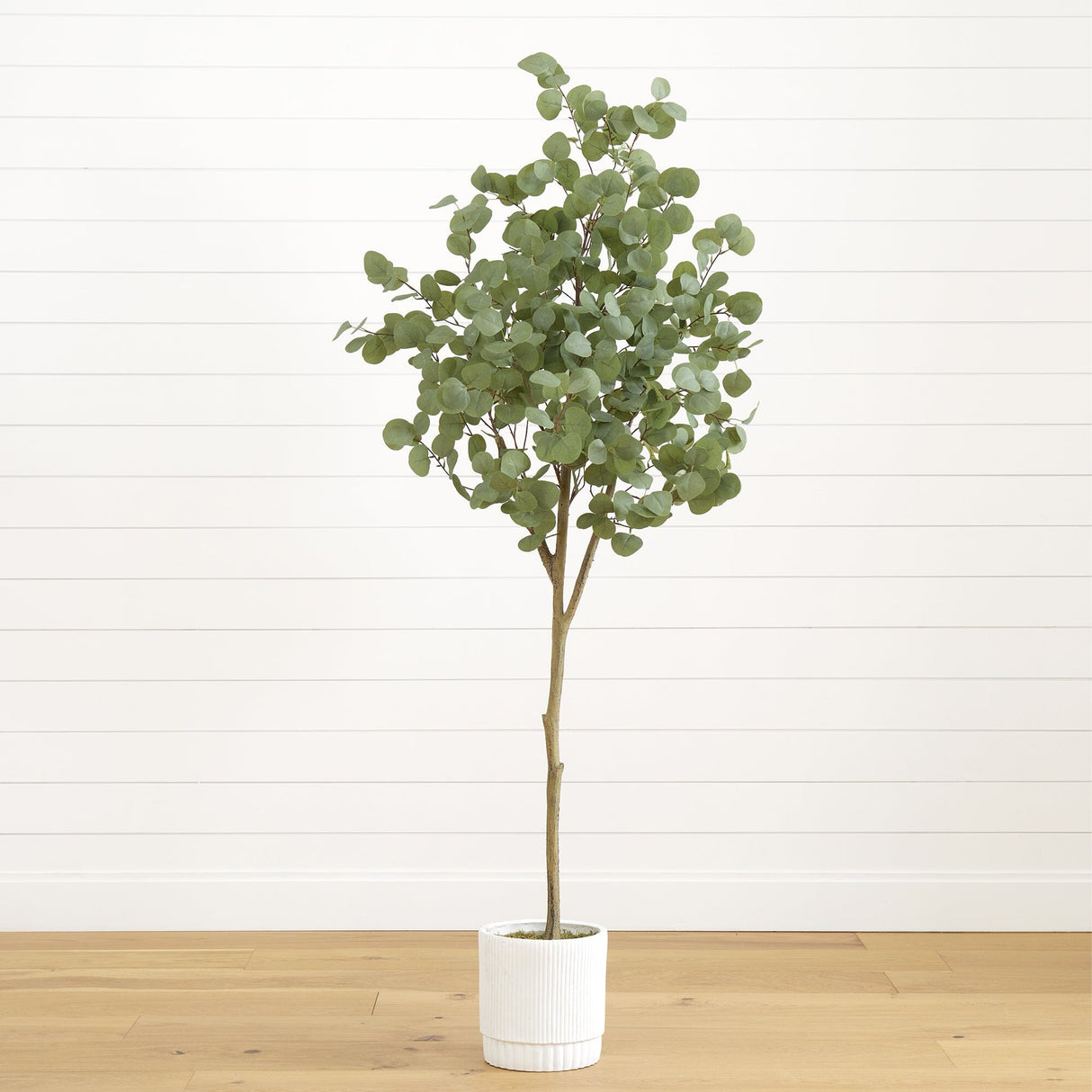 6’ Artificial Eucalyptus Tree with White Decorative Planter-Plant in Planter-Parc Decor