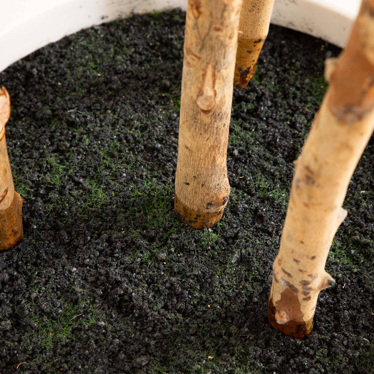 6’ Artificial Fiddle Leaf Tree in Decorative White Planter-Tree-Parc Decor