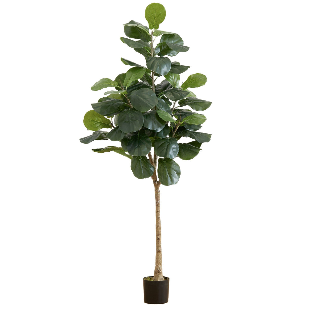 6’ Artificial Fiddle Leaf Tree-Tree-Parc Decor