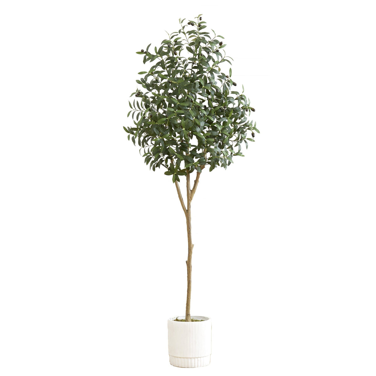 6’ Artificial Olive Tree with White Decorative Planter-Tree-Parc Decor