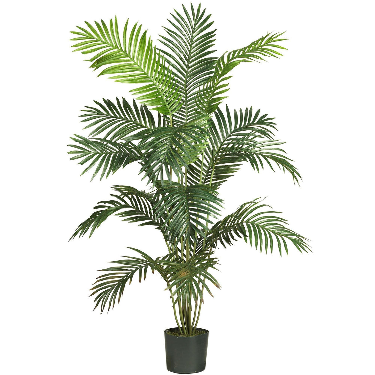 6’ Artificial Paradise Palm Tree-Tree-Parc Decor