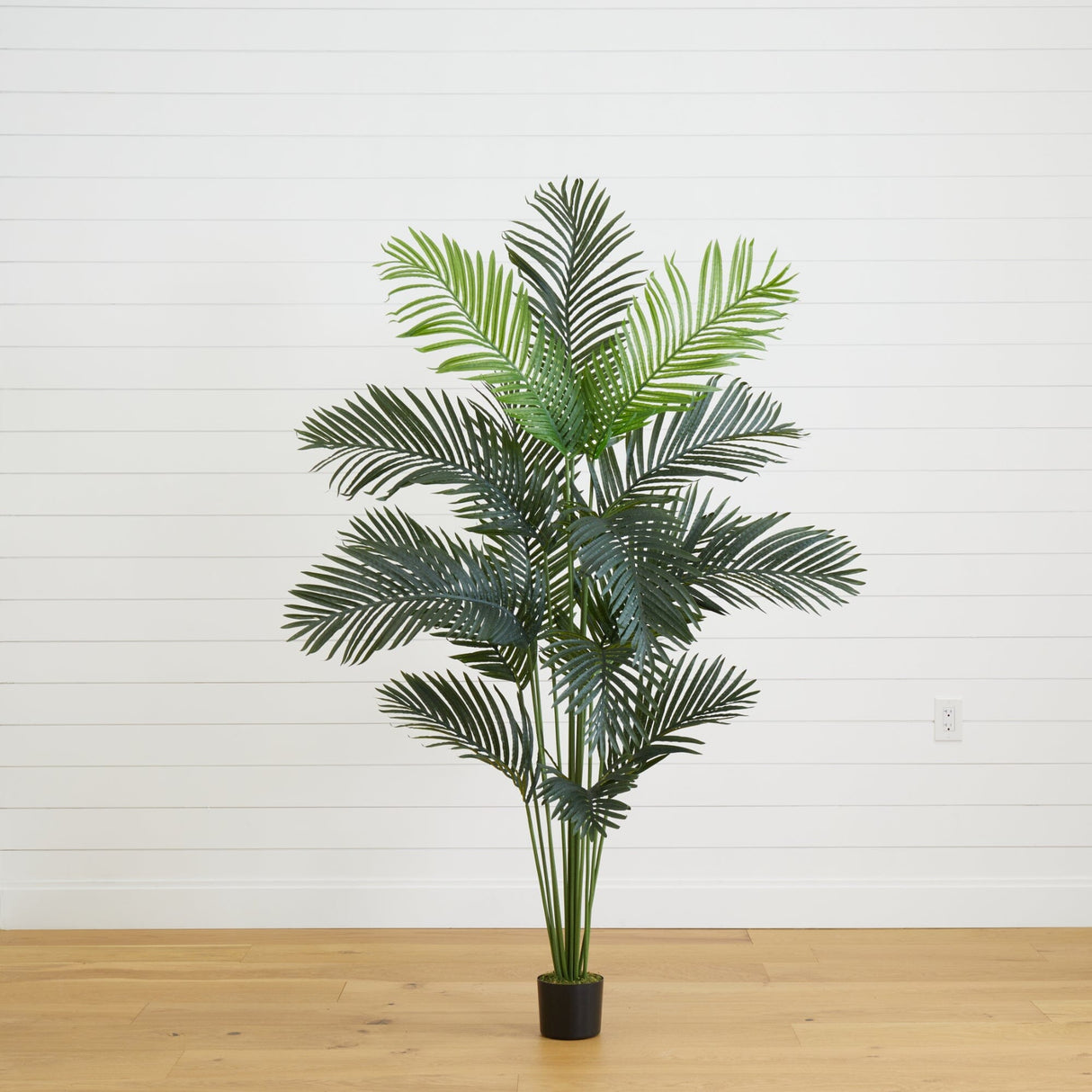 6’ Artificial Paradise Palm Tree-Tree-Parc Decor