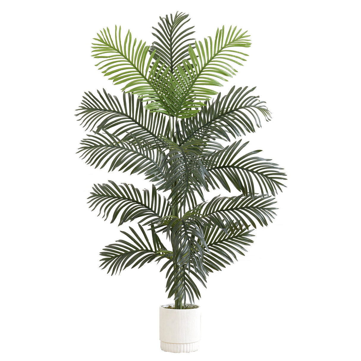 6’ Artificial Paradise Palm with White Decorative Planter-Tree-Parc Decor