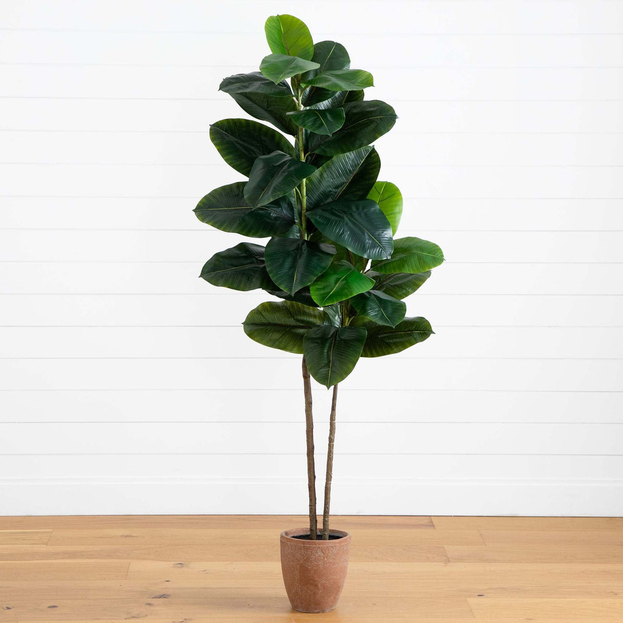 6’ Artificial Rubber Tree in Decorative Planter with Real Touch Leaves-Tree-Parc Decor