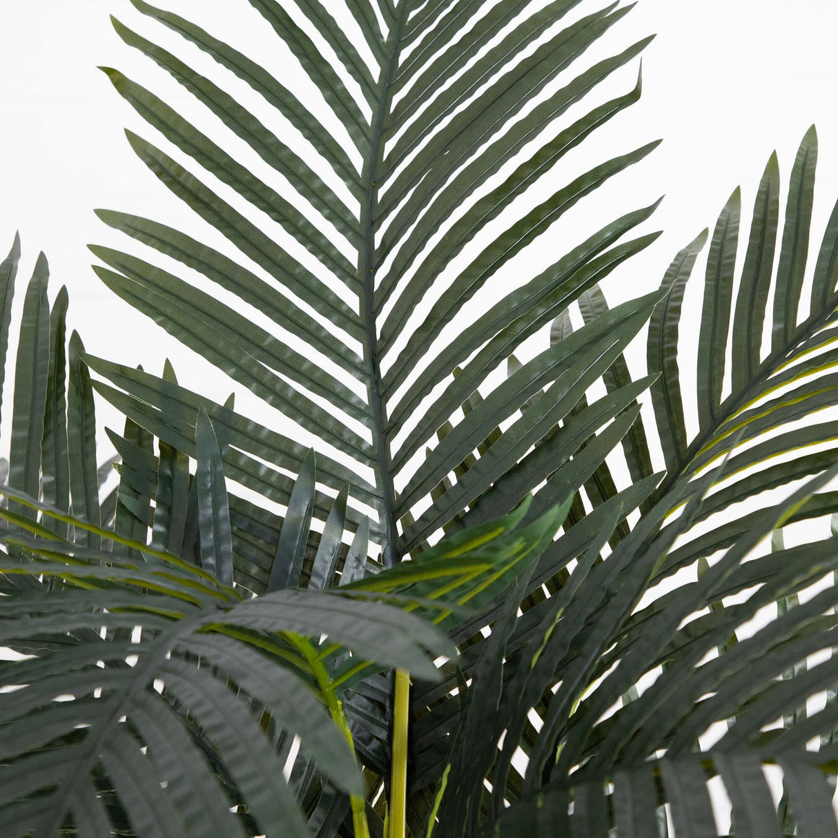 6’ Artificial Triple Stalk Golden Cane Palm Tree- Set of 2-Tree-Parc Decor