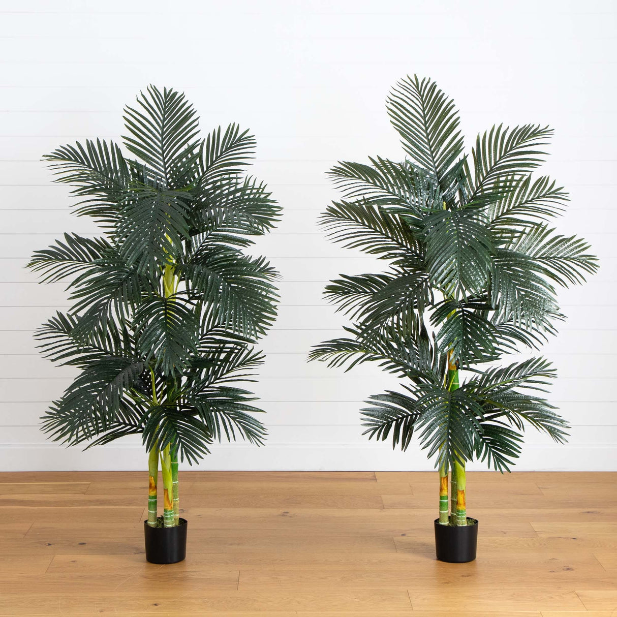 6’ Artificial Triple Stalk Golden Cane Palm Tree- Set of 2-Tree-Parc Decor