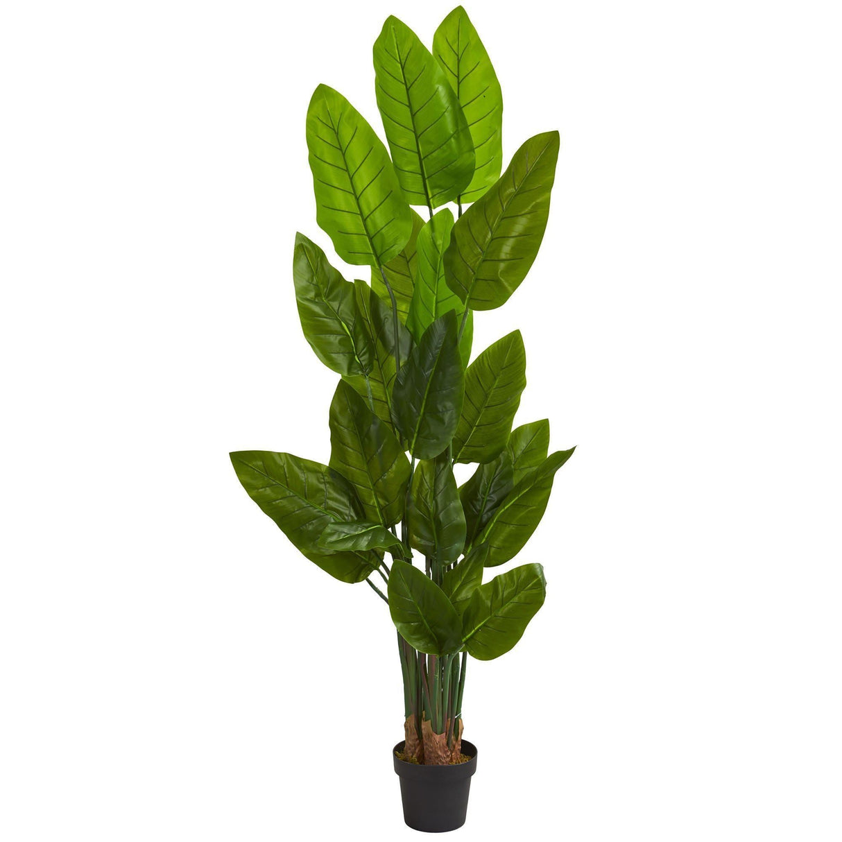 6’ Canna Artificial Tree-Tree-Parc Decor