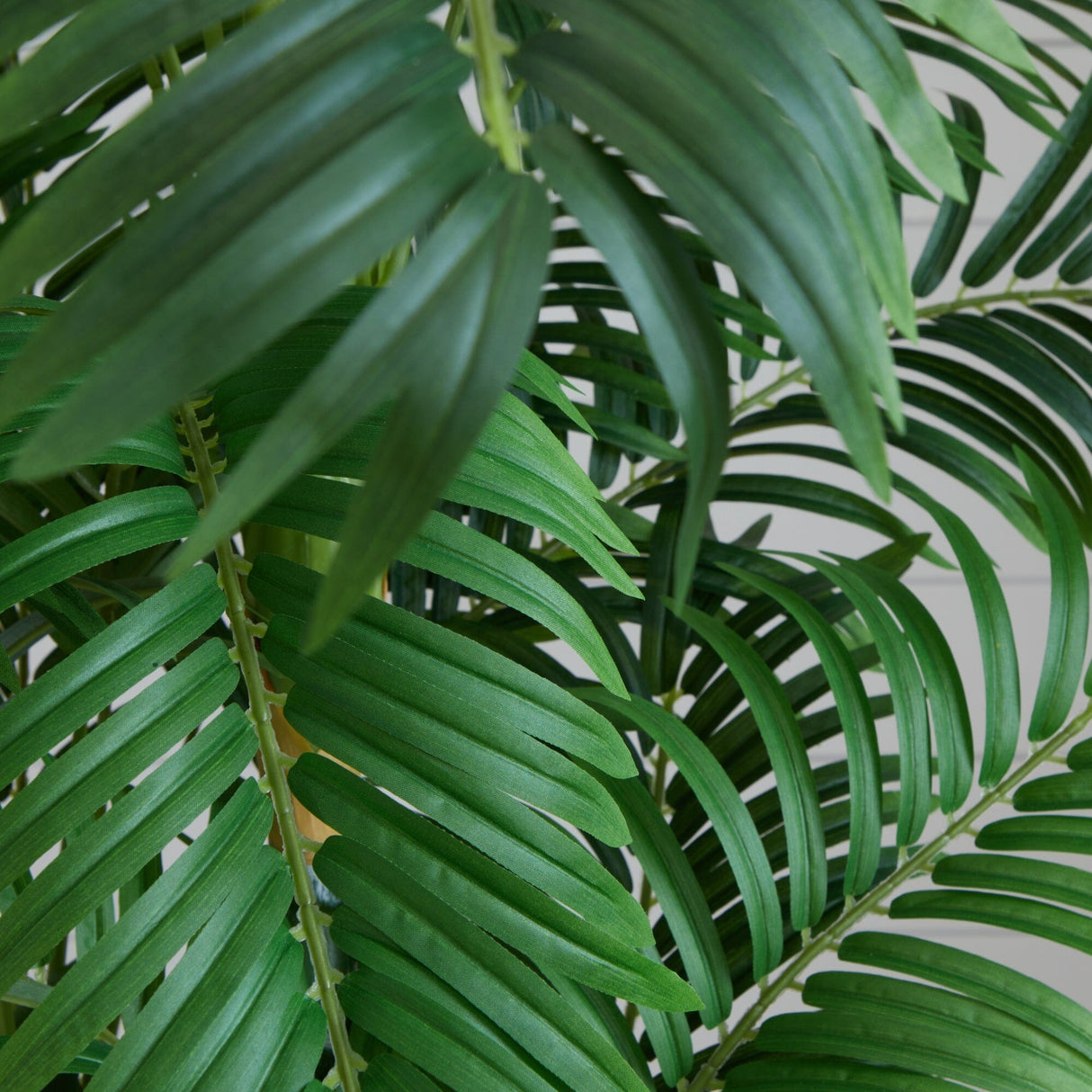 6’ Curvy Parlor Palm Silk Tree-Tree-Parc Decor