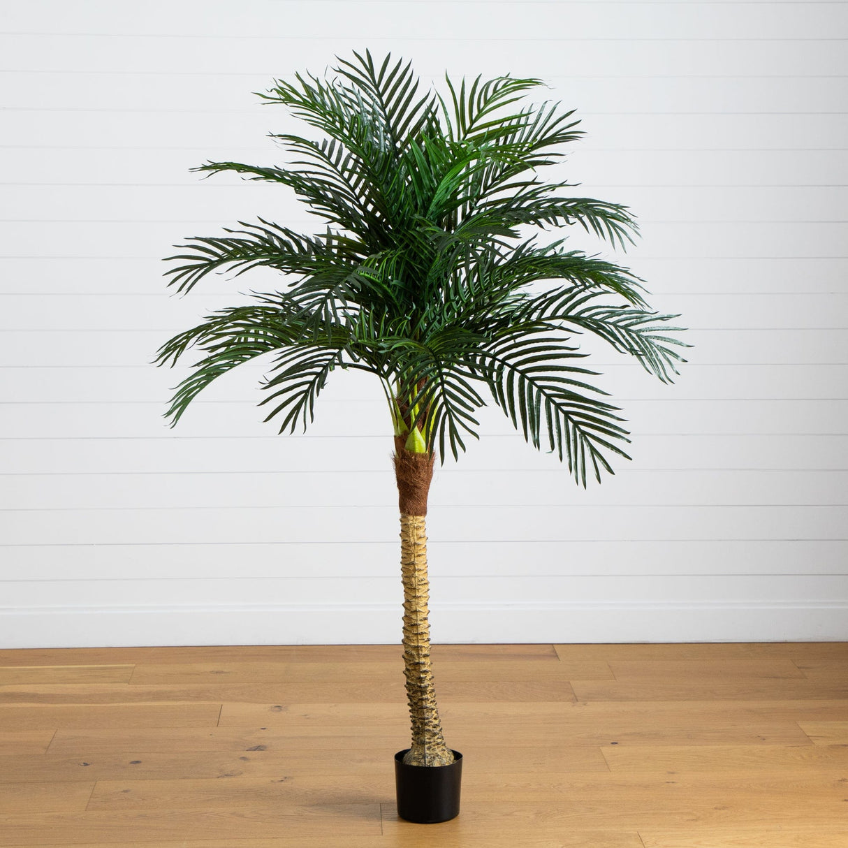 6' Robellini Palm Artificial Tree-Tree-Parc Decor