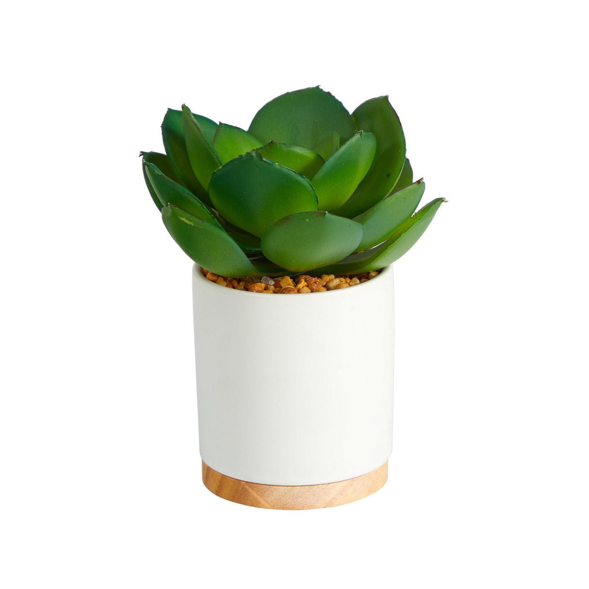 6” Succulent Artificial Plant in White Ceramic Planter-Plant-Parc Decor