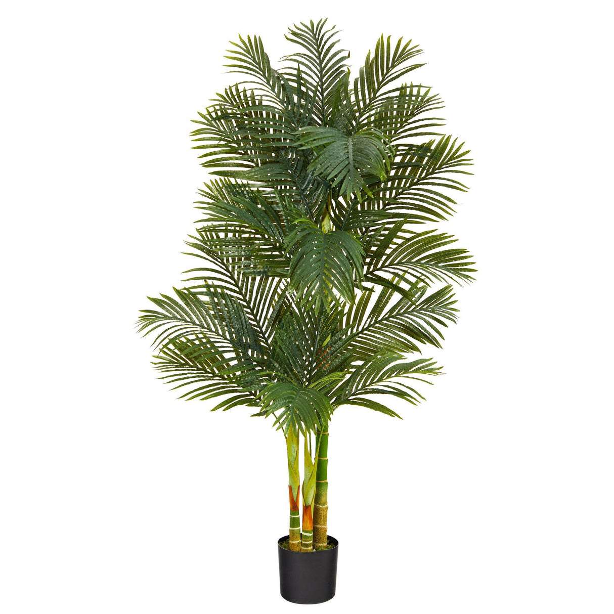 6’ Triple Stalk Golden Cane Artificial Palm Tree-Tree-Parc Decor