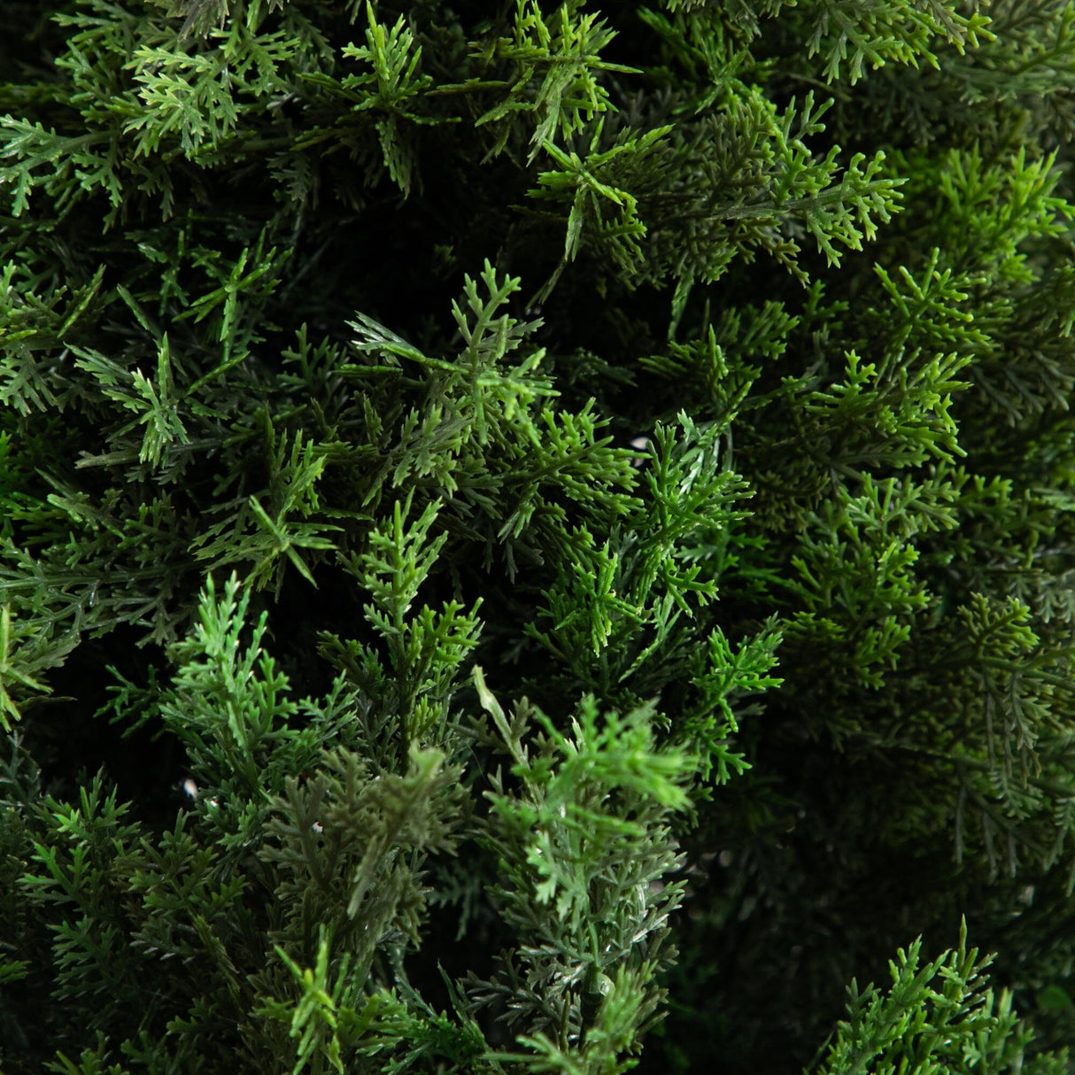 6’ UV Resistant Artificial Cedar Tree in Decorative White Planter (Indoor/Outdoor)-Tree-Parc Decor