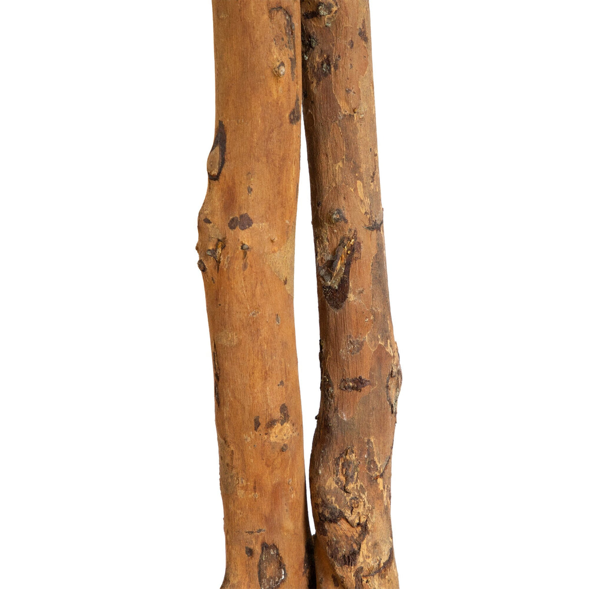 6’ Willow Artificial Tree (Real Touch)-Tree-Parc Decor