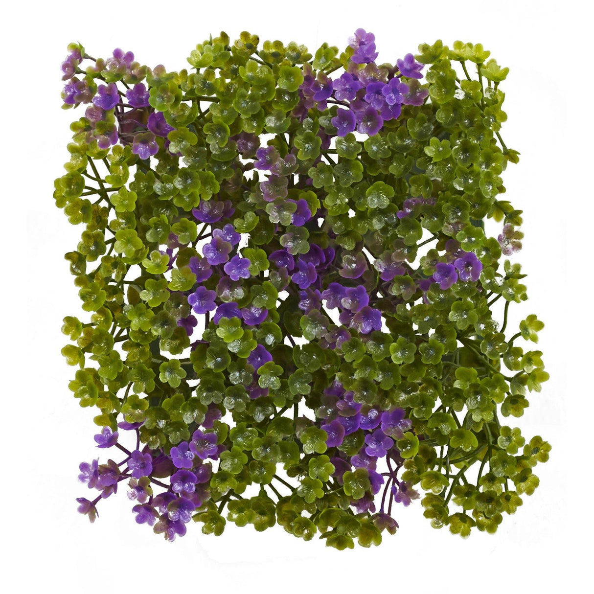 6” x 6” Purple & Green Clover Mat (Set of 12)-Parc Decor