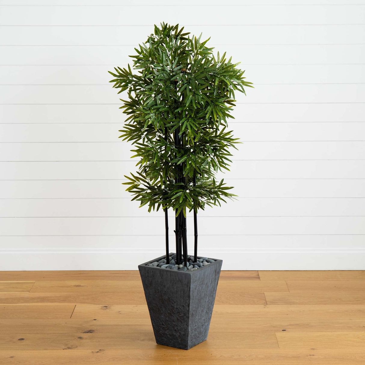 61” Bamboo Artificial Tree with Black Trunks in Slate Planter (Indoor/Outdoor)-Parc Decor