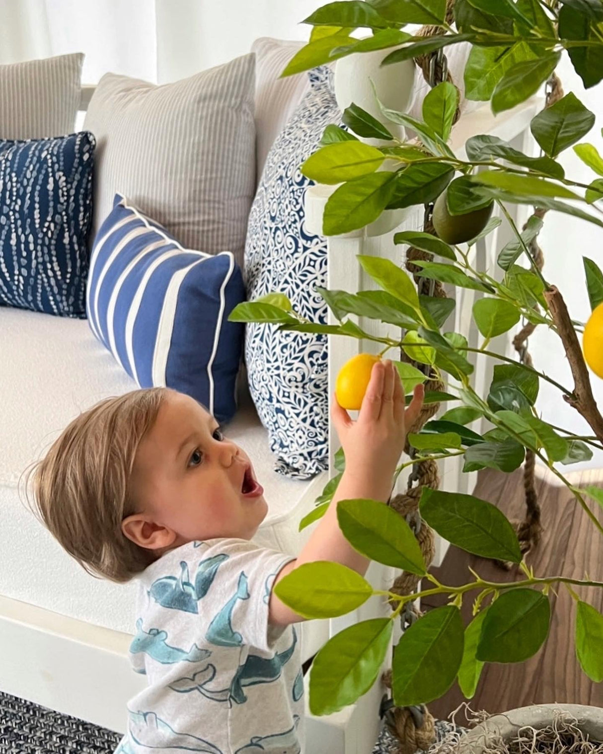 61” Lemon Artificial Tree-Parc Decor