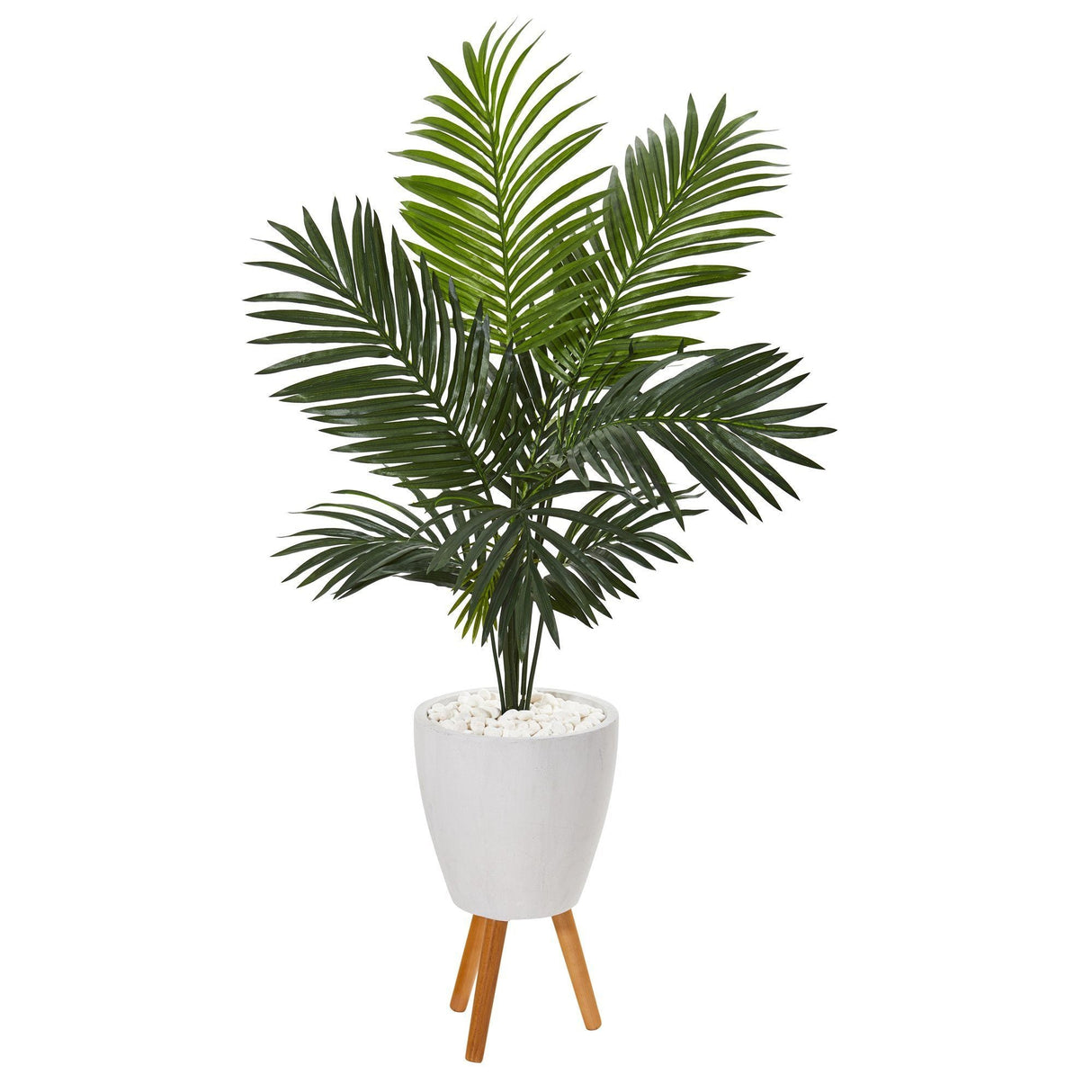 61” Paradise Palm Artificial Tree in White Planter with Stand-Parc Decor
