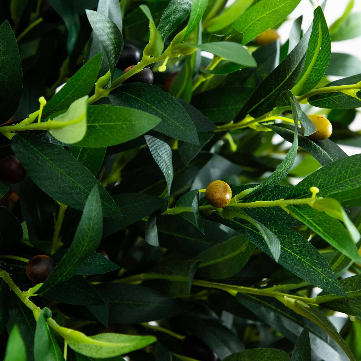 63” Olive Topiary Artificial Tree in Terra Cotta Planter (Indoor/Outdoor)-Parc Decor