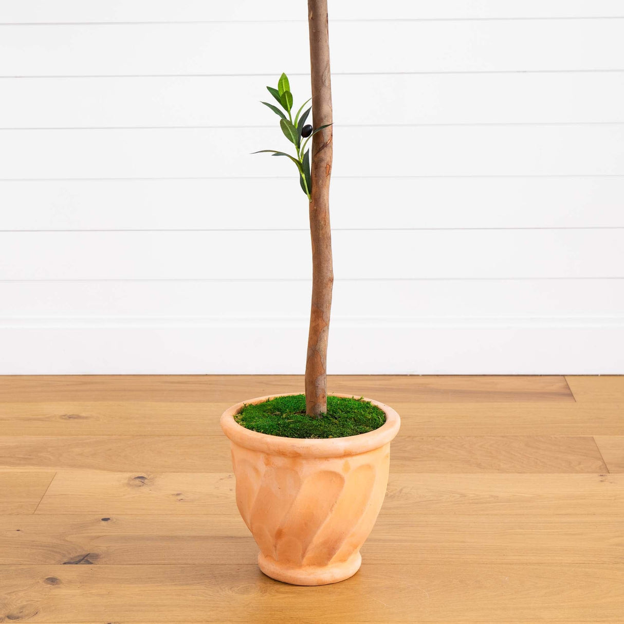 63” Olive Topiary Artificial Tree in Terra Cotta Planter (Indoor/Outdoor)-Parc Decor