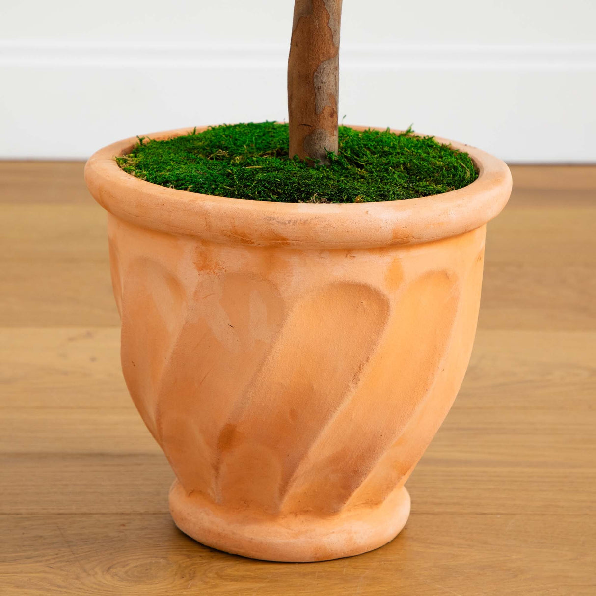 63” Olive Topiary Artificial Tree in Terra Cotta Planter (Indoor/Outdoor)-Parc Decor