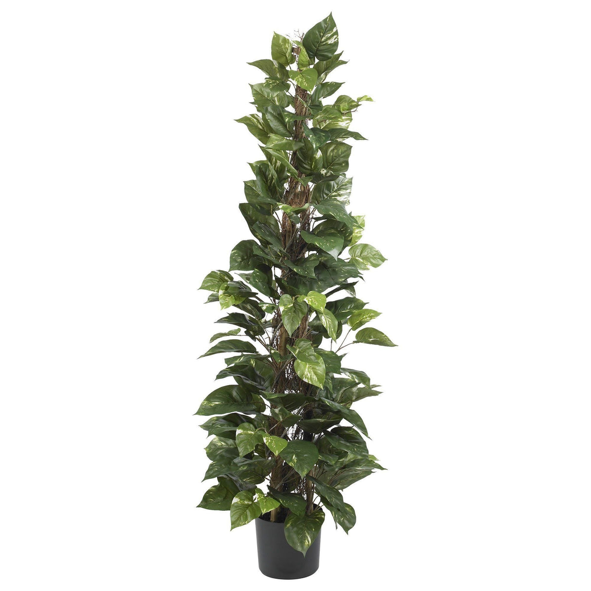 63" Pothos Climbing Silk Plant"-Parc Decor