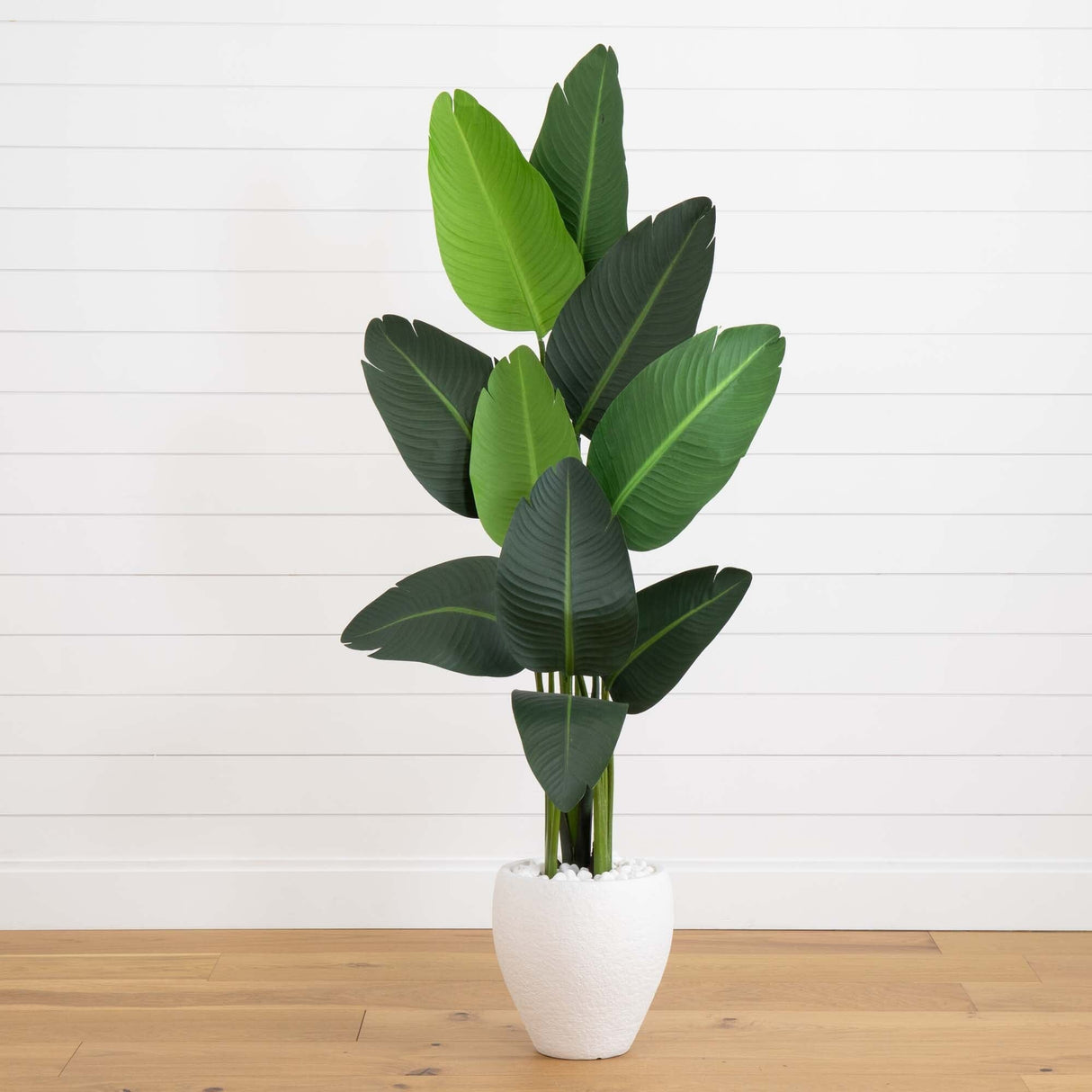 63” Traveler's Palm Artificial tree in White Planter-Parc Decor