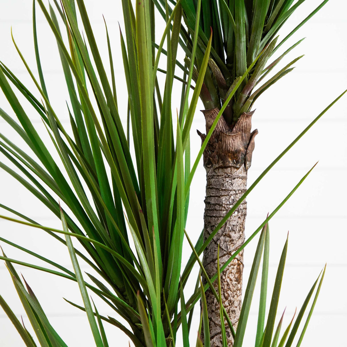 64” Yucca Artificial Tree in Sand Colored Planter-Parc Decor