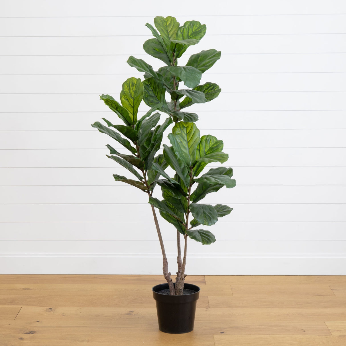 65” Fiddle Leaf Tree UV Resistant (Indoor/Outdoor)-Parc Decor