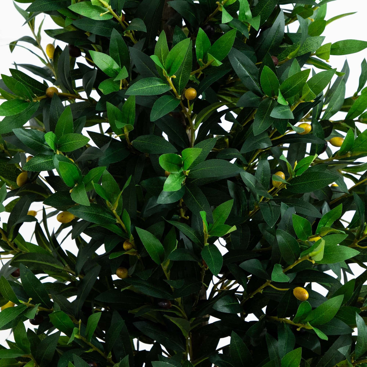 67” Olive Cone Topiary Artificial Tree in Slate Planter (Indoor/Outdoor)-Parc Decor