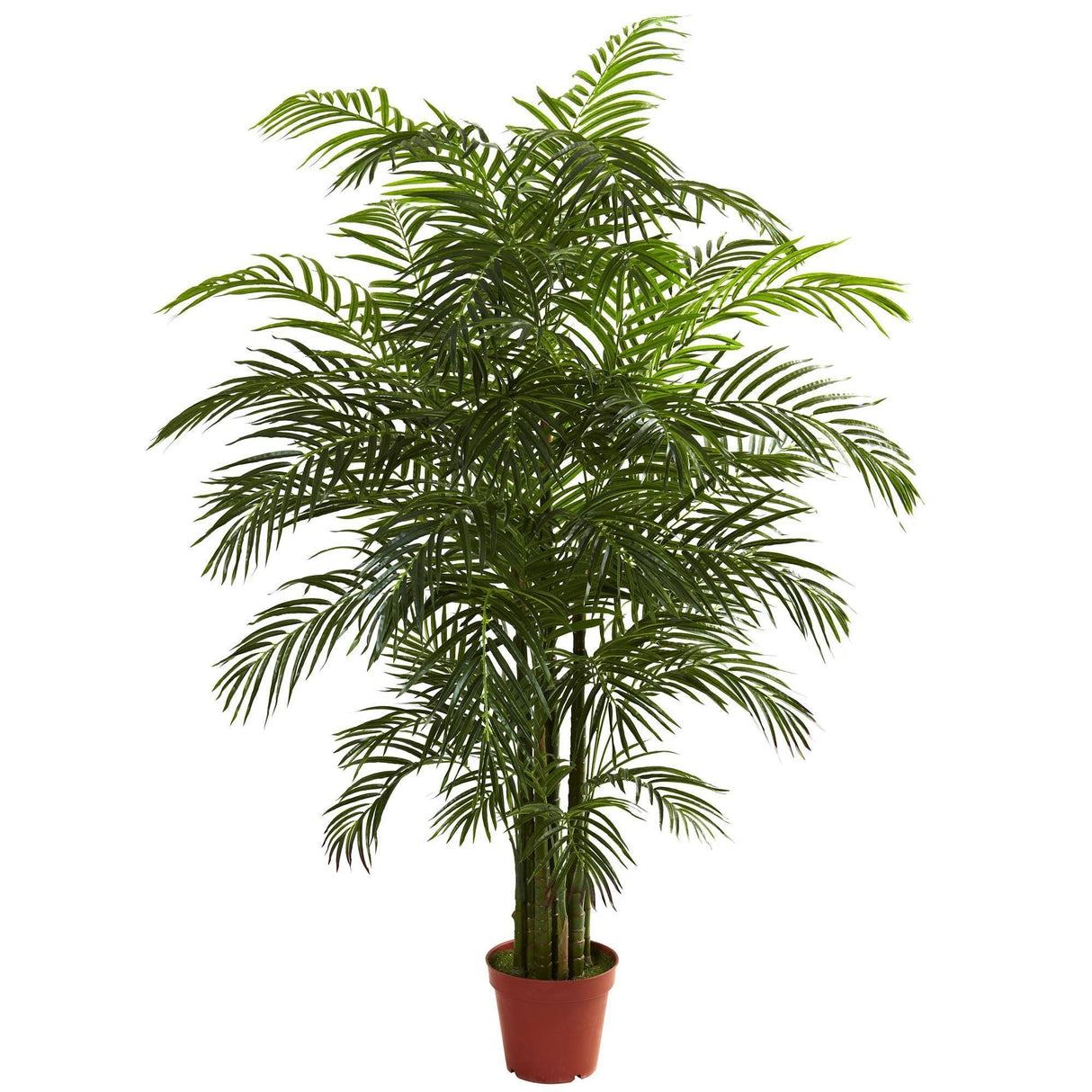 6.5' Areca Palm UV Resistant (Indoor/Outdoor)-Parc Decor