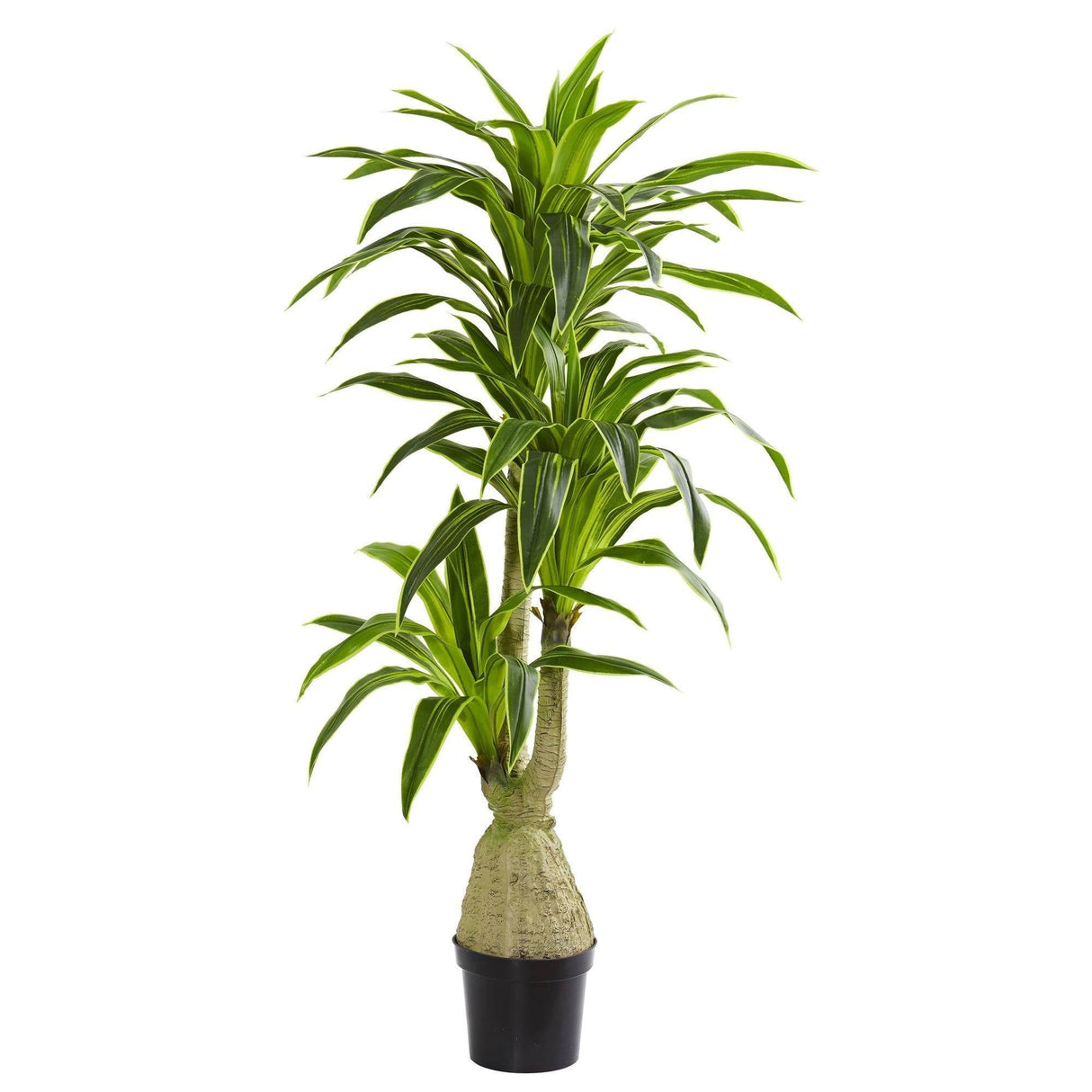 6.5' Dracaena Artificial Plant-Parc Decor